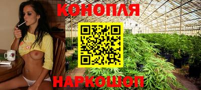 соль ск Обь