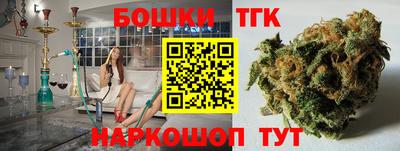 соль ск Обь