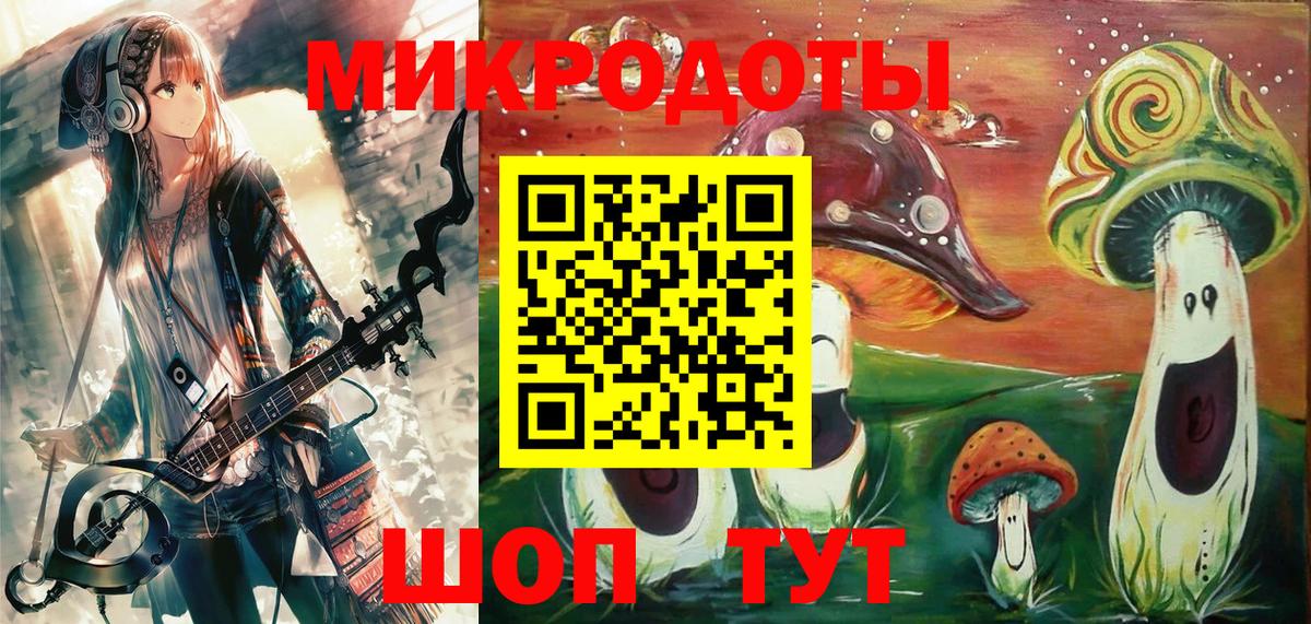 Псилоцибиновые грибы Psilocybe Норильск