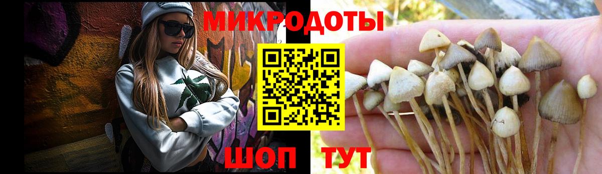 Норильск  Псилоцибиновые грибы мицелий  Вход с VPN  Псилоцибиновые грибы GOLDEN TEACHER 